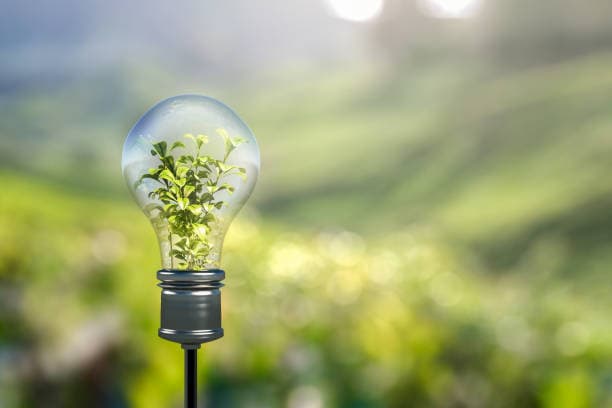 Eco-Friendly Innovations's image
